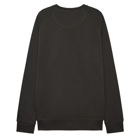 Мужской свитшот ARCTIC. Цвет: Серый